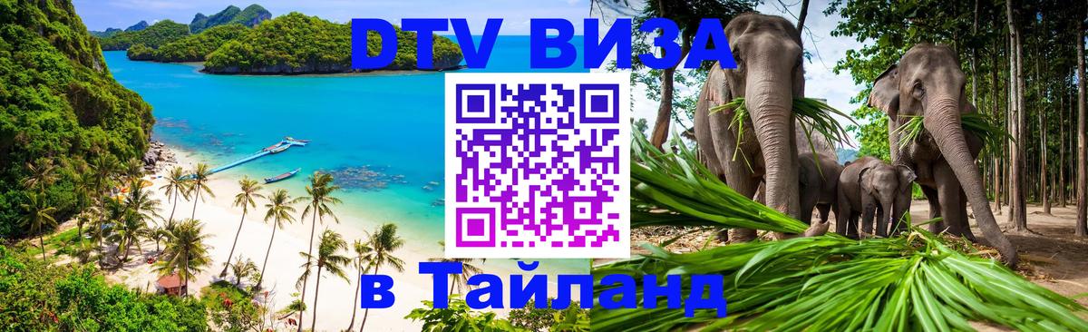 Сколько стоит DTV виза — актуальные цены, оформление даже без документов - 21.11.2025 